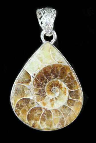 Ammonite Fossil Pendant - Sterling Silver #48759
